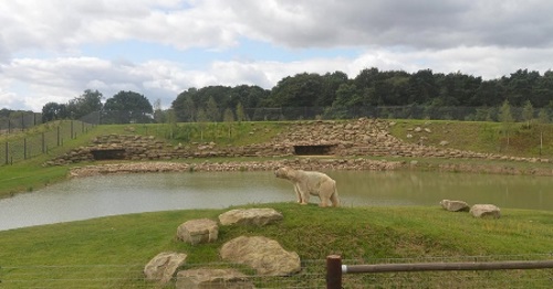 Yorkshire Wildlife Park Image